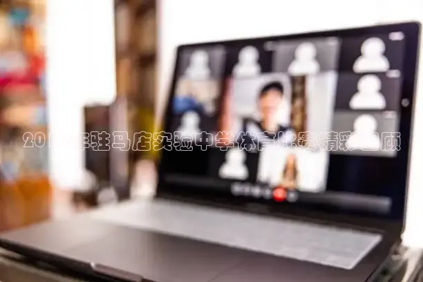 蜘蛛体育直播小狐狸